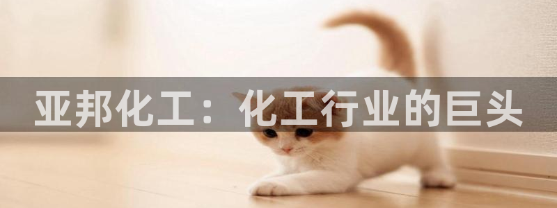 球盟会邮箱