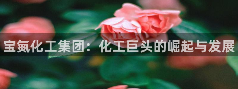 球盟会头号玩家