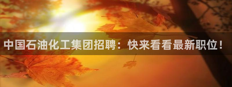 球盟会提款支付宝怎么样