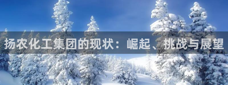 球盟会封禁