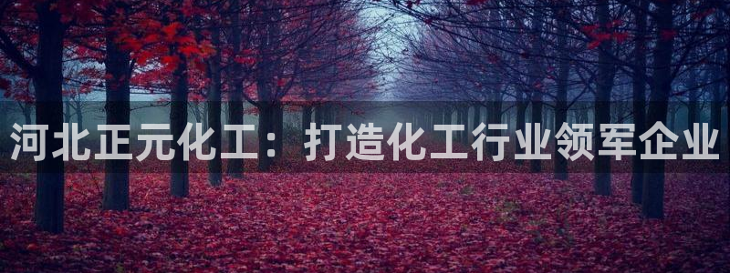 球盟会优惠领取网站是真的吗