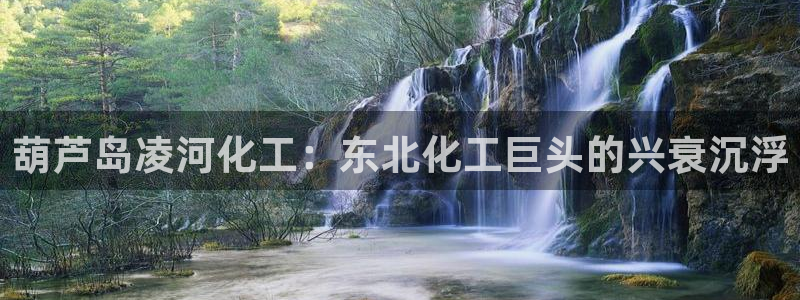球盟会官方网址入口