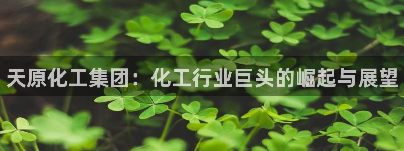 球盟会优惠领取网站