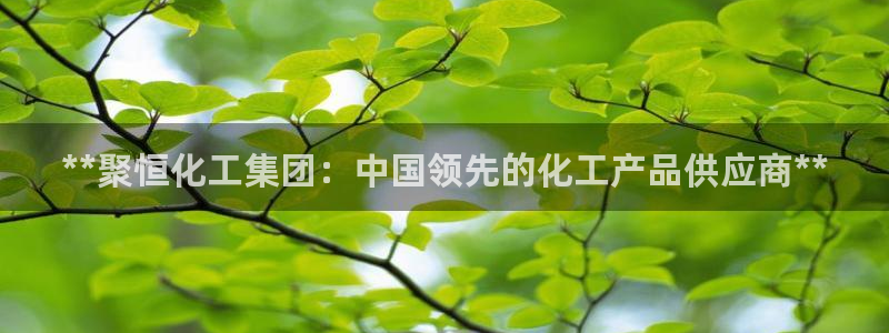 球盟会APP官网：**聚恒化工集团：中国领先的化工产品供应商