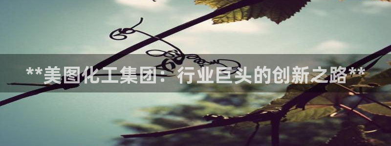 球盟会黑
