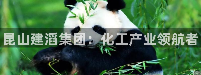 球盟会乐虎