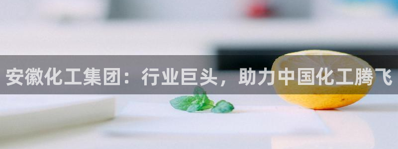 球盟会登陆