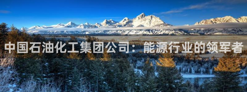 球盟会黑款吗知乎文章