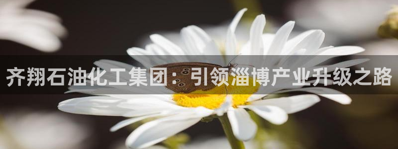 球盟会娱乐平台