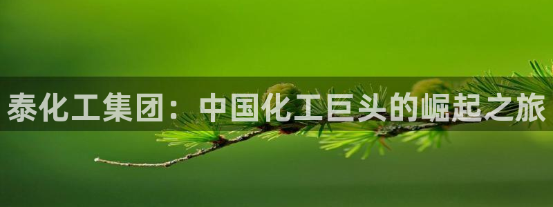 球盟会游戏