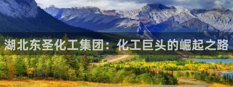 球盟会封号
