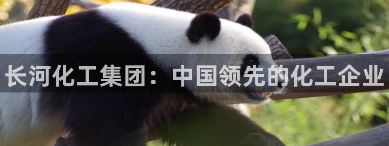 球盟会官方客服：长河化工集团：中国领先的化工企业