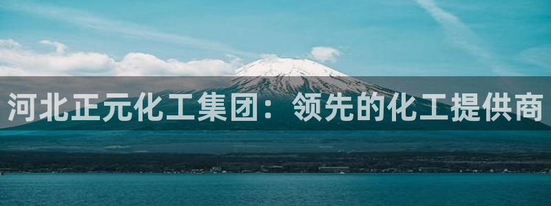 球盟会官方最新入口：河北正元化工集团：领先的化工提供商