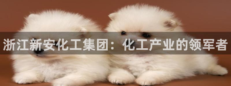 球盟会可以提现么是真的吗