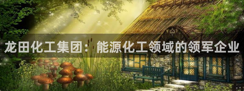 球盟会qm