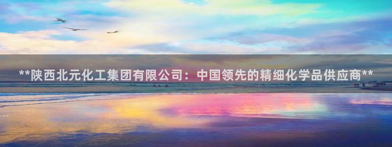 球盟会下款快吗：**陕西北元化工集团有限公司：中国领先的精细