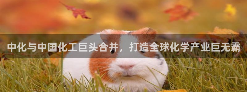 球盟会官方网址入口