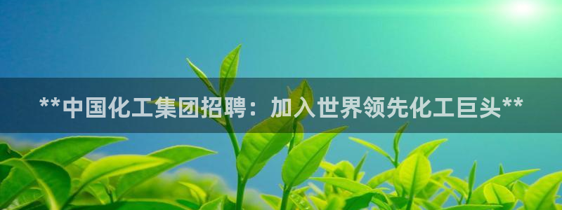 球盟会地址：**中国化工集团招聘：加入世界领先化工巨头**