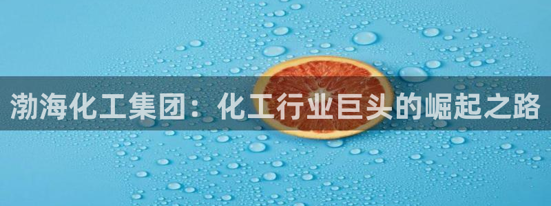 球盟会在线登入