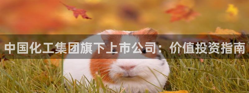 球盟会qmh官网