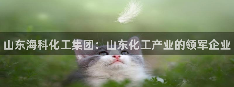 球盟会中国官方网站：山东海科化工集团：山东化工产业的领军企业
