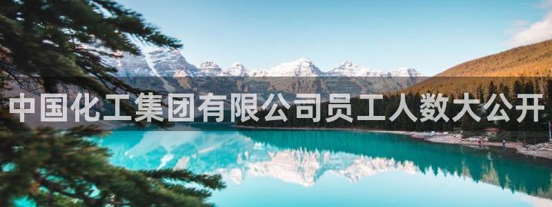 球盟会