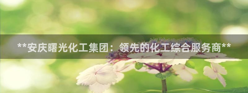 球盟会官方网站入口