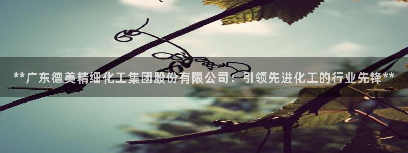 球盟会官方网页登录：**广东德美精细化工集团股份有限公司：引
