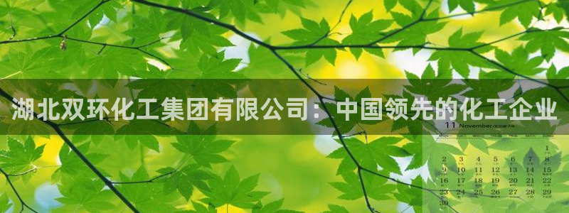 球盟会优惠领取网站：湖北双环化工集团有限公司：中国领先的化工