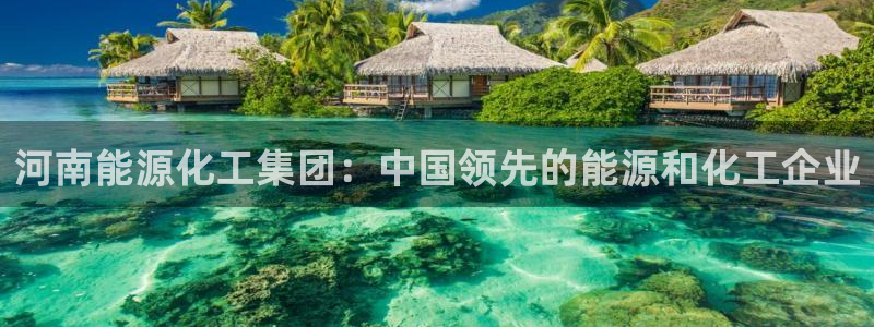 球盟会qmh官网：河南能源化工集团：中国领先的能源和化工企业