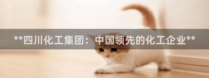 球盟会官方网站入口：**四川化工集团：中国领先的化工企业**