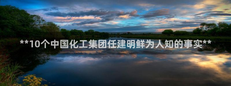 球盟会黑：**10个中国化工集团任建明鲜为人知的事实**