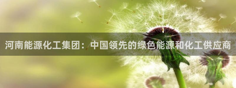 球盟会综合app下载：河南能源化工集团：中国领先的绿色能源和