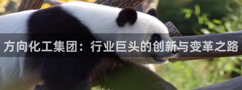 球盟会app
