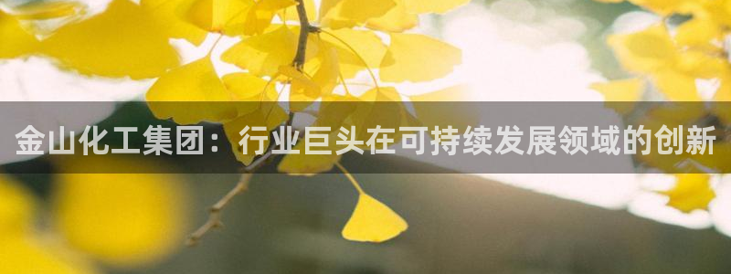 球盟会进不去球员吗：金山化工集团：行业巨头在可持续发展领域的
