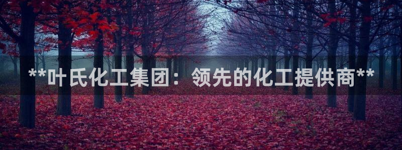 球盟会进不去吗：**叶氏化工集团：领先的化工提供商**