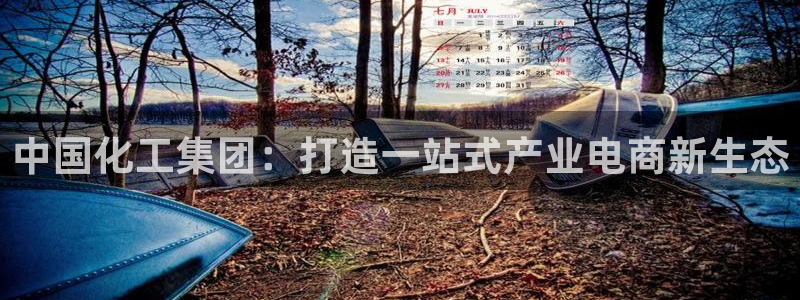 球盟会可以提现么现在