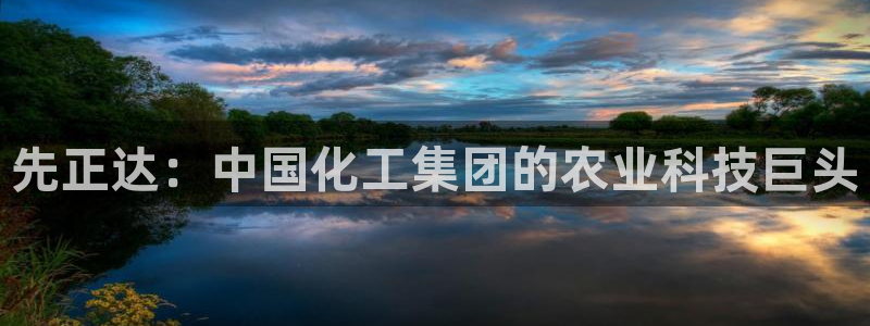 球盟会国际官网