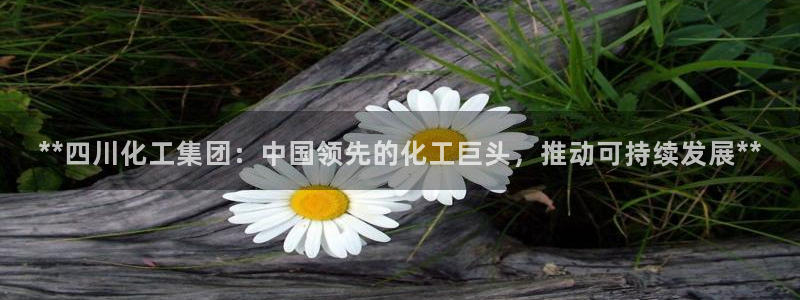 球盟会进不去球员吗：**四川化工集团：中国领先的化工巨头，推