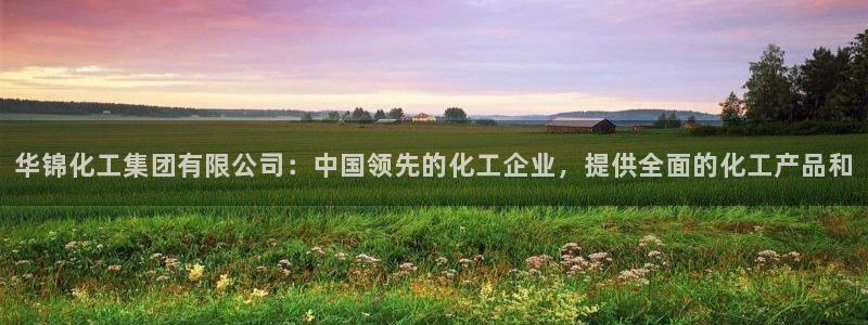 球盟会下款快吗：华锦化工集团有限公司：中国领先的化工企业，提