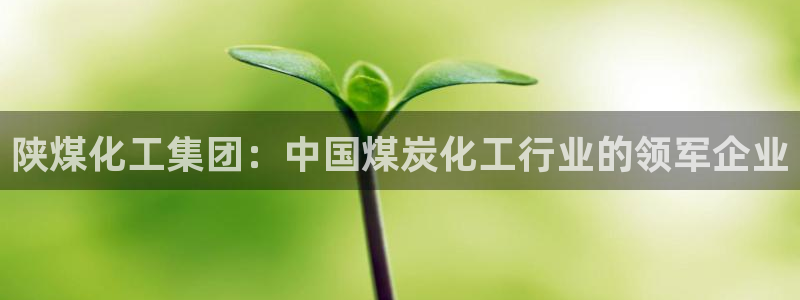球盟会app最新地址在哪里：陕煤化工集团：中国煤炭化工行业的