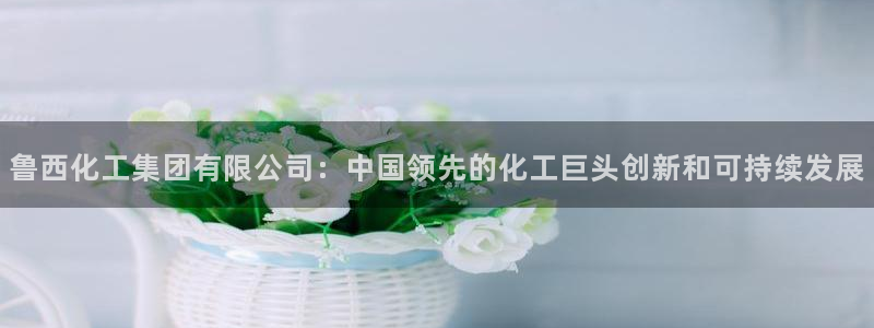 球盟会最新地址备用：鲁西化工集团有限公司：中国领先的化工巨头