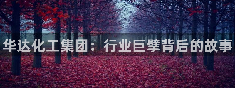 球盟会黑款吗