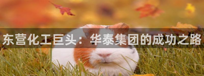 球盟会出款黑了：东营化工巨头：华泰集团的成功之路