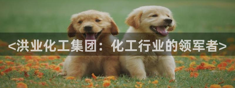 球盟会官方平台入口