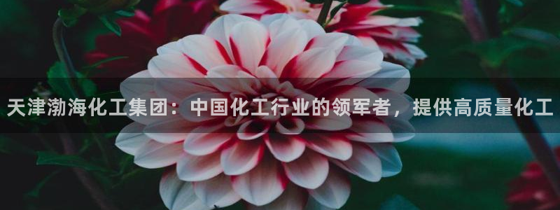 球盟会乐虎：天津渤海化工集团：中国化工行业的领军者，提供高质