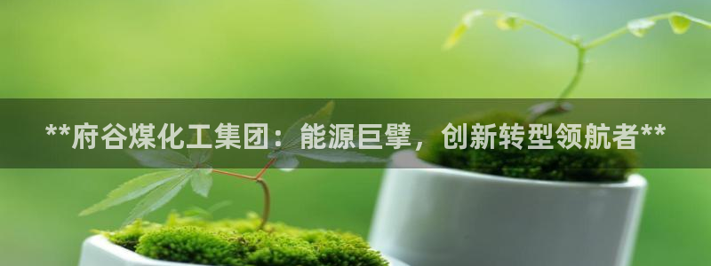 球盟会贴吧