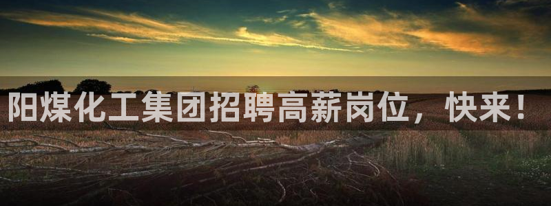 球盟会体育平台