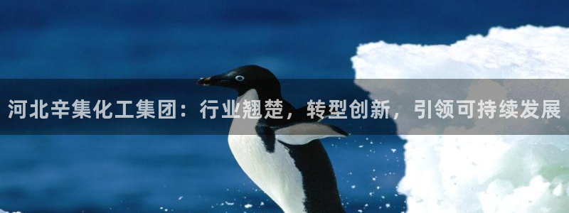 球盟会电子：河北辛集化工集团：行业翘楚，转型创新，引领可持续