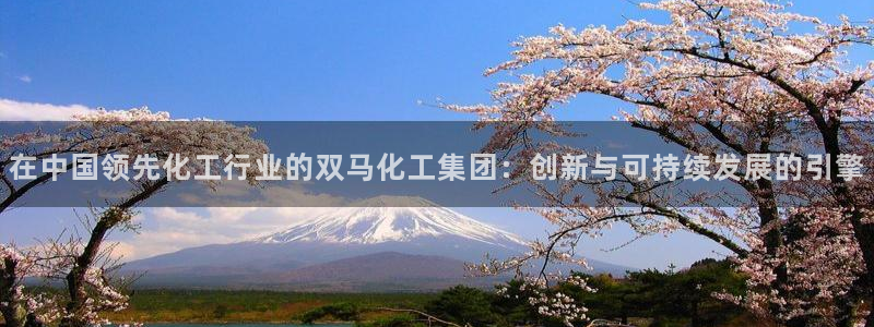球盟会app：在中国领先化工行业的双马化工集团：创新与可持续